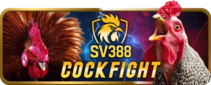 Hoàn trả hàng tuần 89bet3377